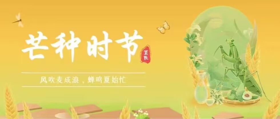 风吹麦成浪,蝉鸣夏始忙。今日芒种哦～